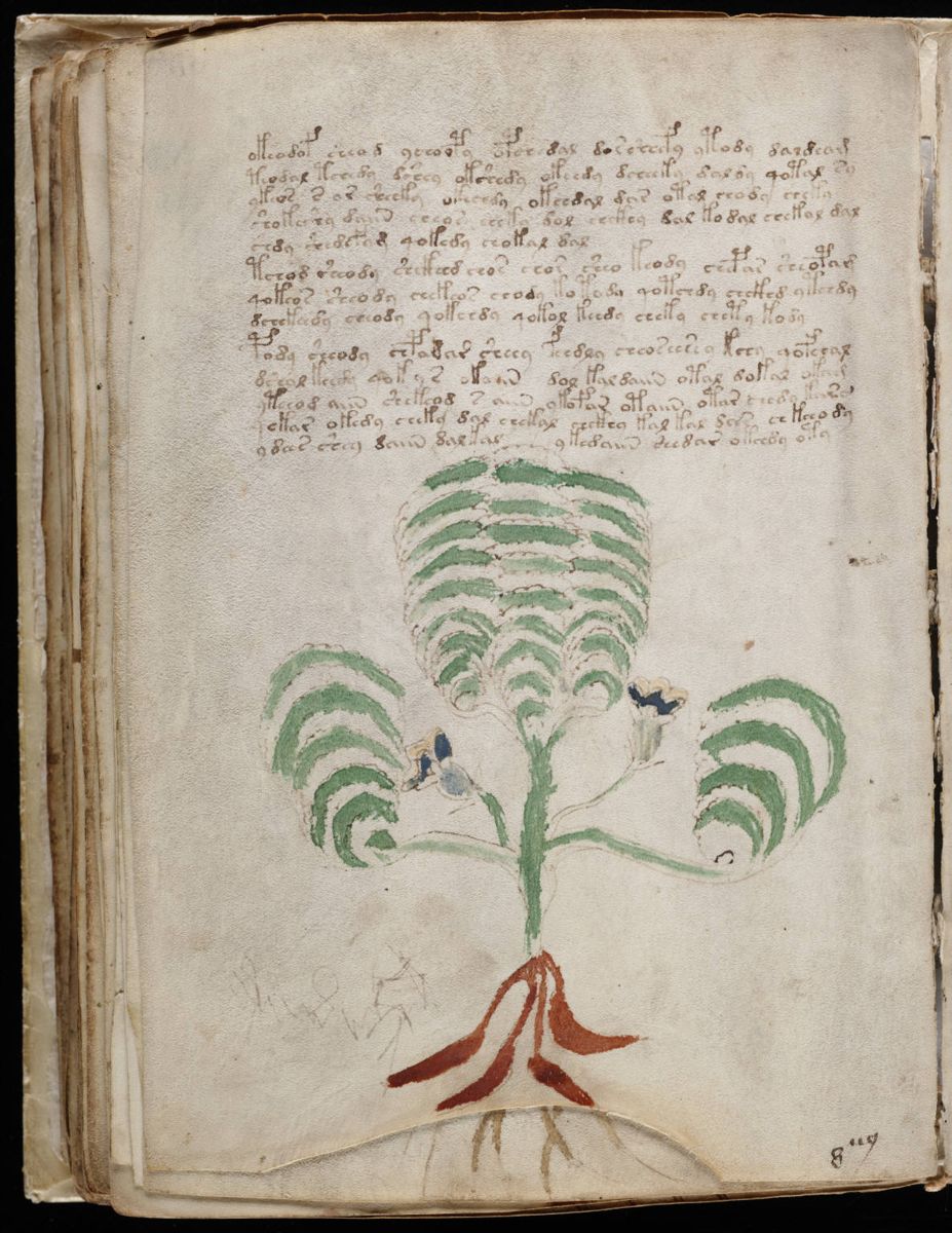 Voynich Manuscript (120).jpg Voynich Manuscript (120).jpg