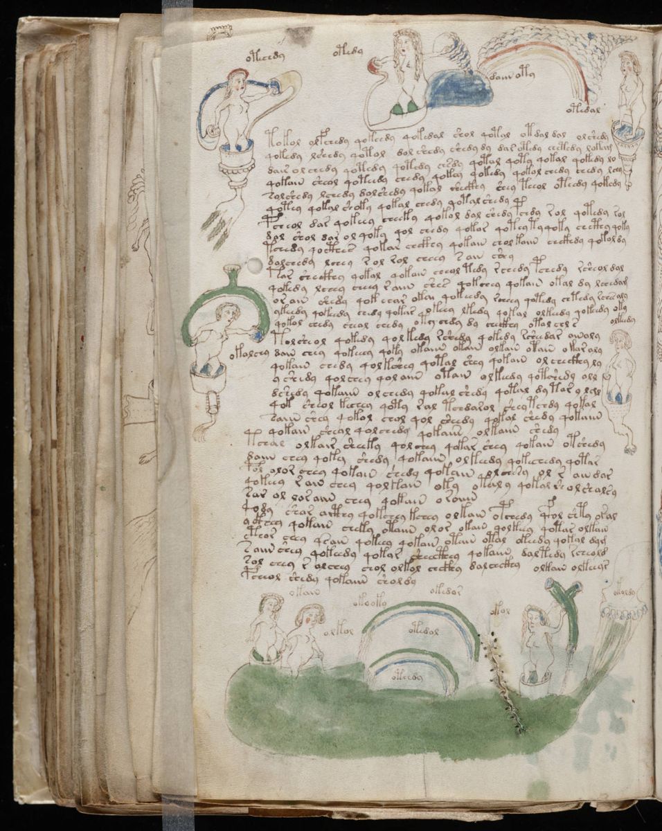 Voynich Manuscript (150).jpg Voynich Manuscript (150).jpg