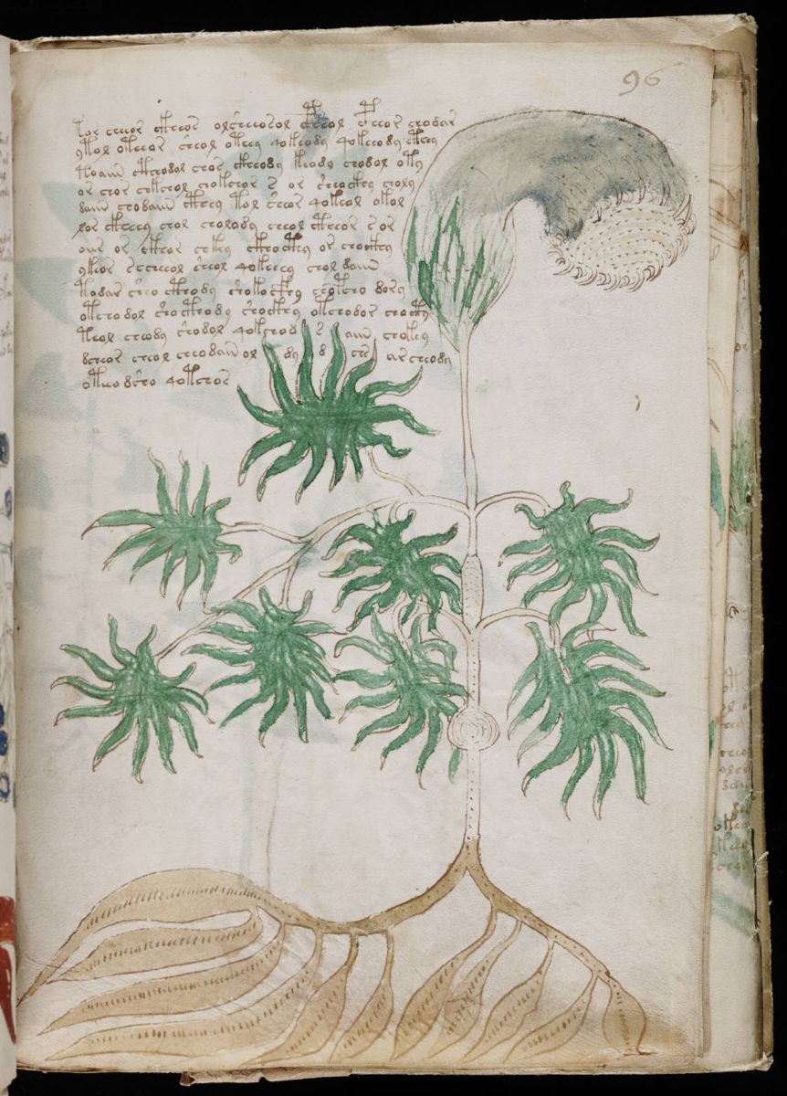 Voynich Manuscript (173).jpg Voynich Manuscript (173).jpg