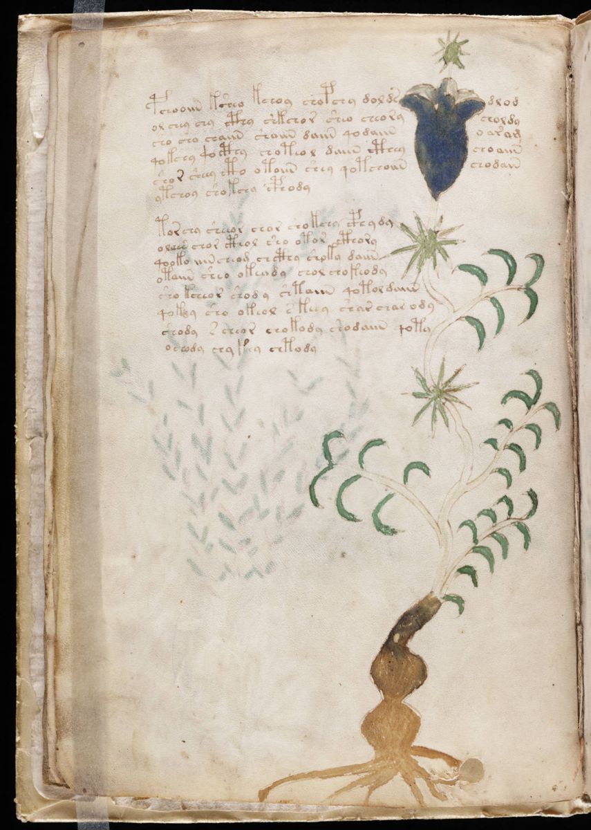 Voynich Manuscript (10).jpg Voynich Manuscript (10).jpg
