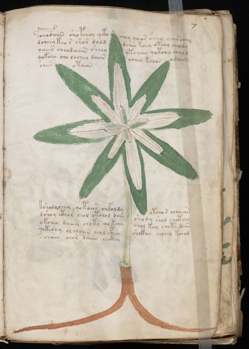 Voynich Manuscript (15).jpg Voynich Manuscript (15).jpg