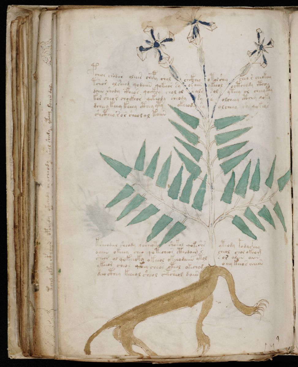 Voynich Manuscript (166).jpg Voynich Manuscript (166).jpg