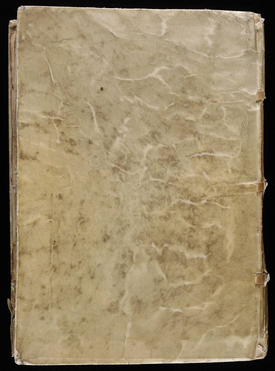 Voynich Manuscript (209).jpg Voynich Manuscript (209).jpg