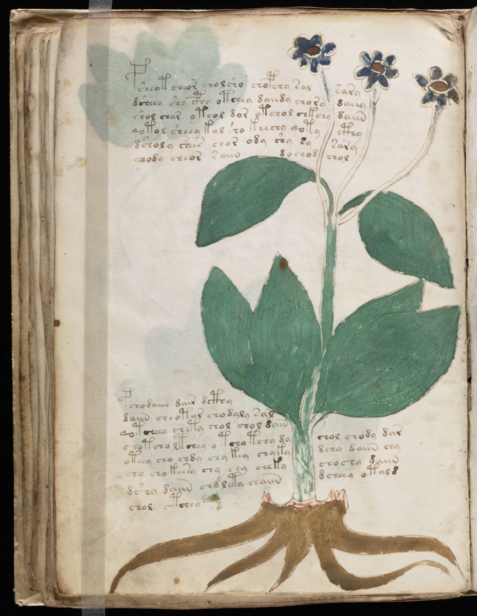 Voynich Manuscript (94).jpg Voynich Manuscript (94).jpg