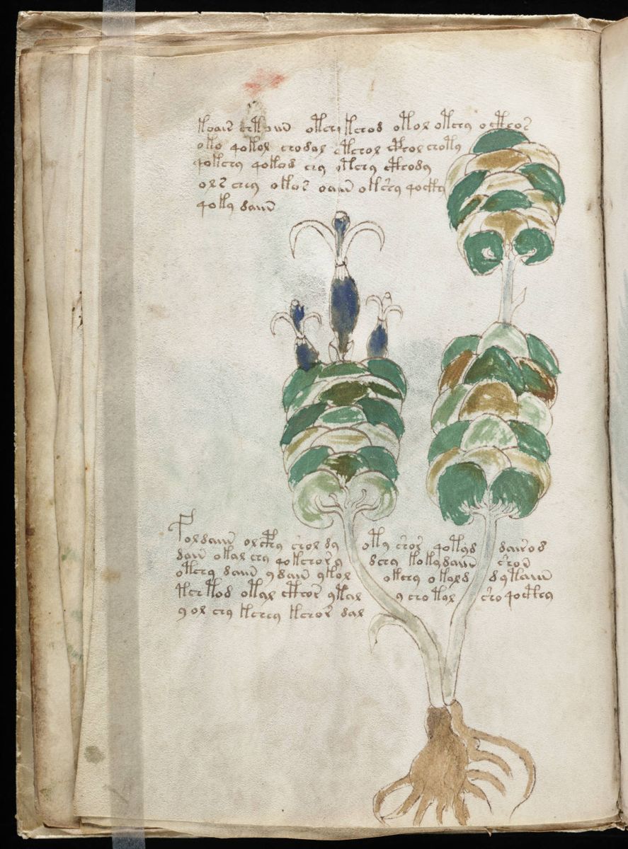 Voynich Manuscript (26).jpg Voynich Manuscript (26).jpg