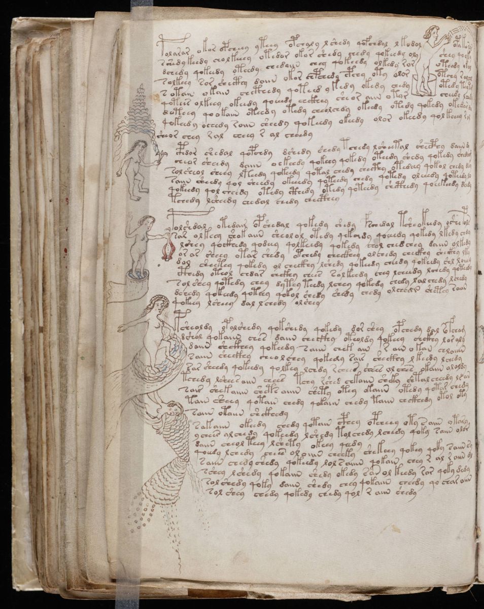 Voynich Manuscript (138).jpg Voynich Manuscript (138).jpg