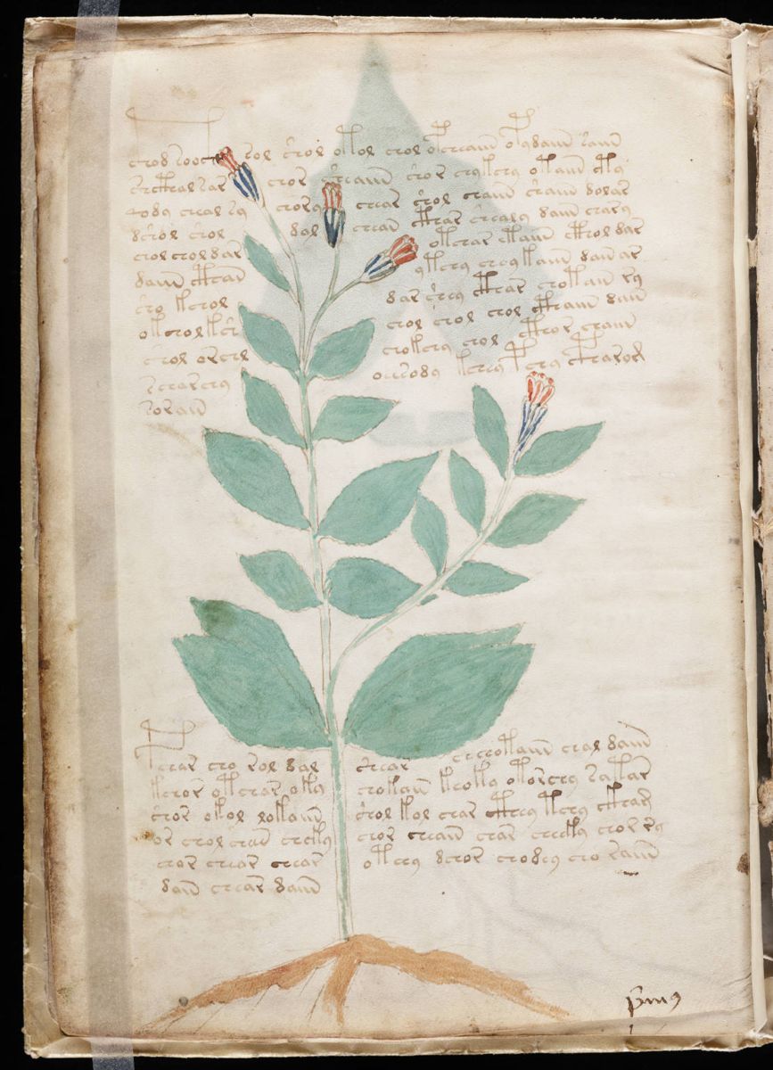 Voynich Manuscript (18).jpg Voynich Manuscript (18).jpg