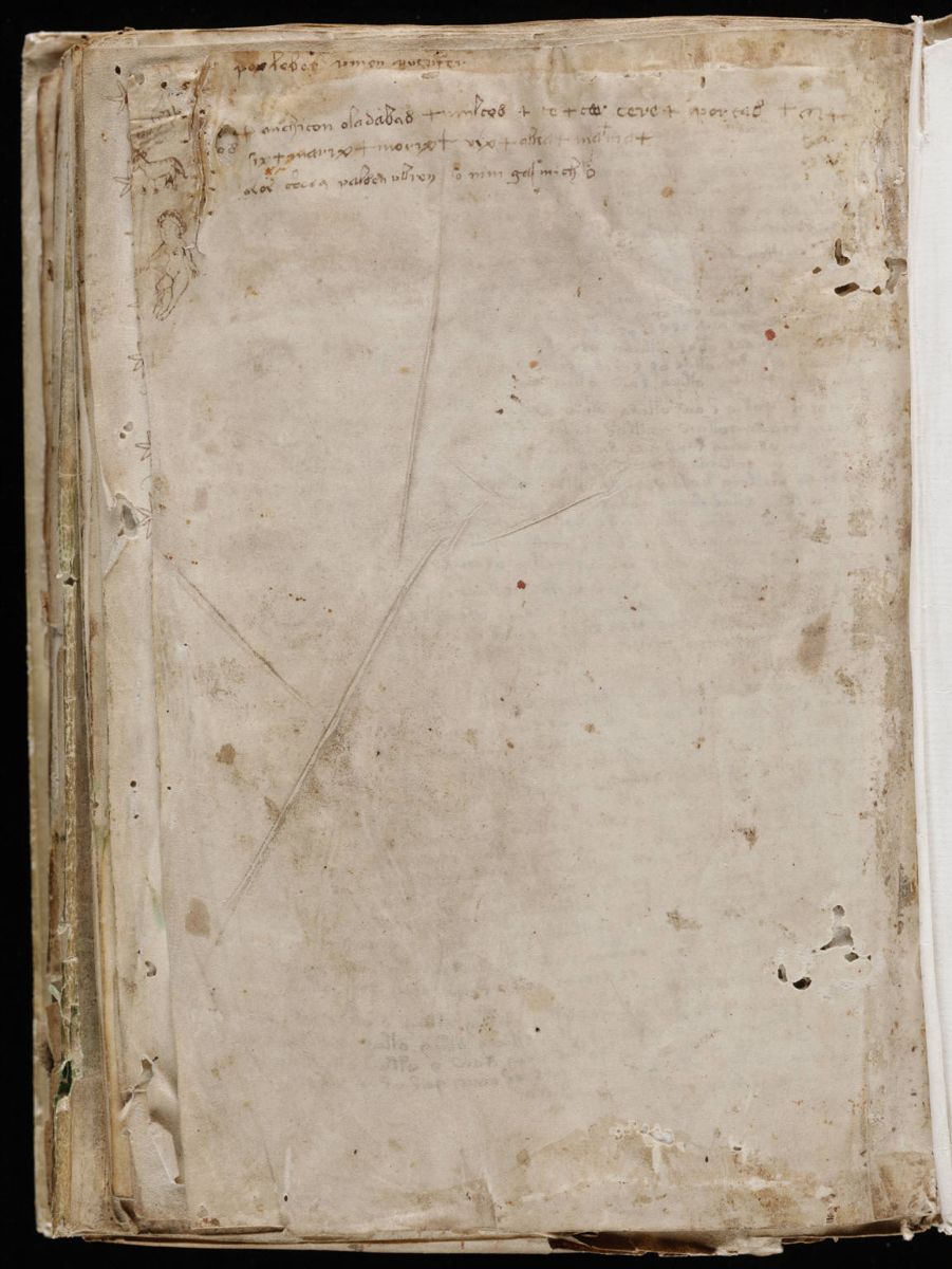 Voynich Manuscript (206).jpg Voynich Manuscript (206).jpg