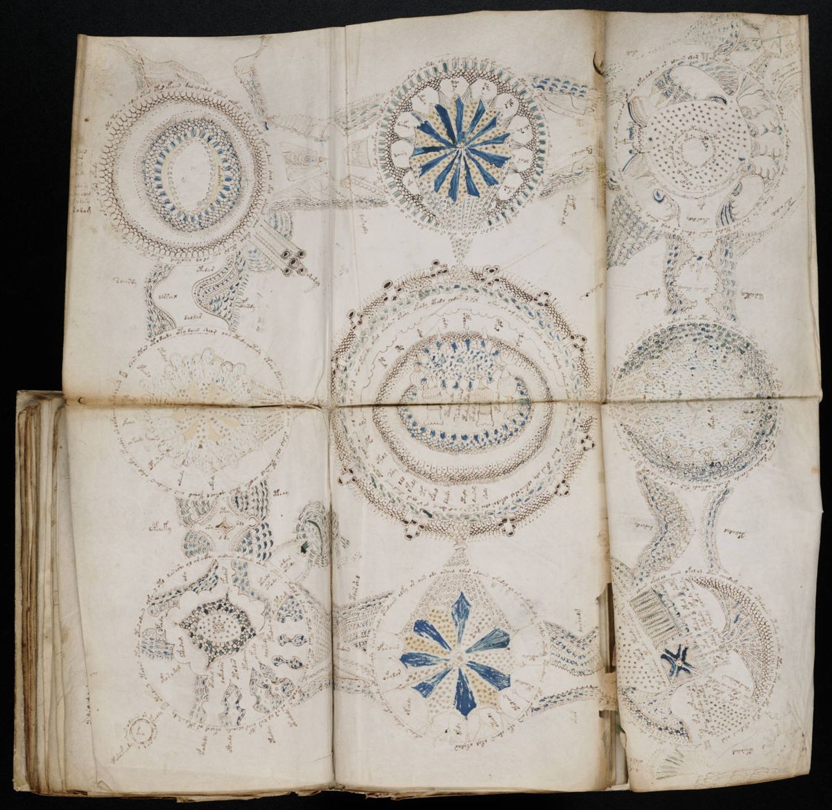 Voynich Manuscript (158).jpg Voynich Manuscript (158).jpg