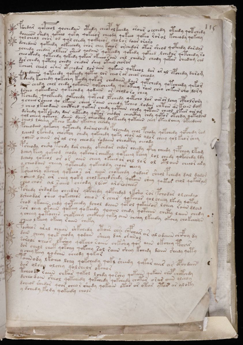 Voynich Manuscript (203).jpg Voynich Manuscript (203).jpg