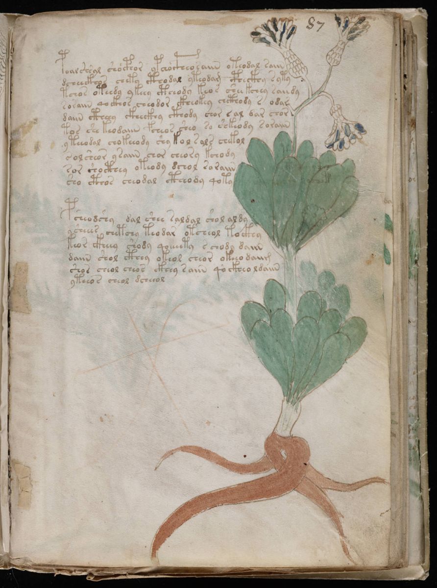 Voynich Manuscript (159).jpg Voynich Manuscript (159).jpg