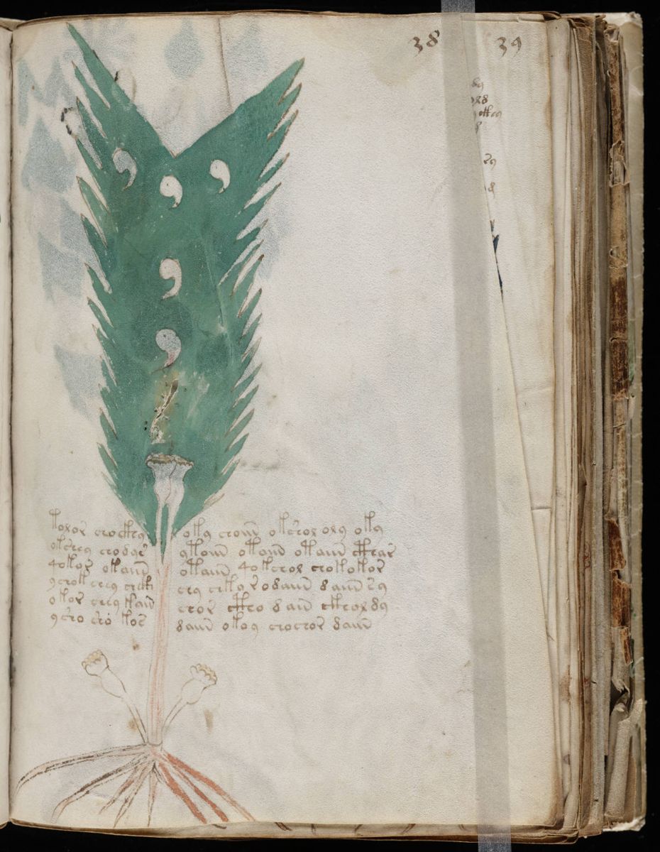 Voynich Manuscript (75).jpg Voynich Manuscript (75).jpg