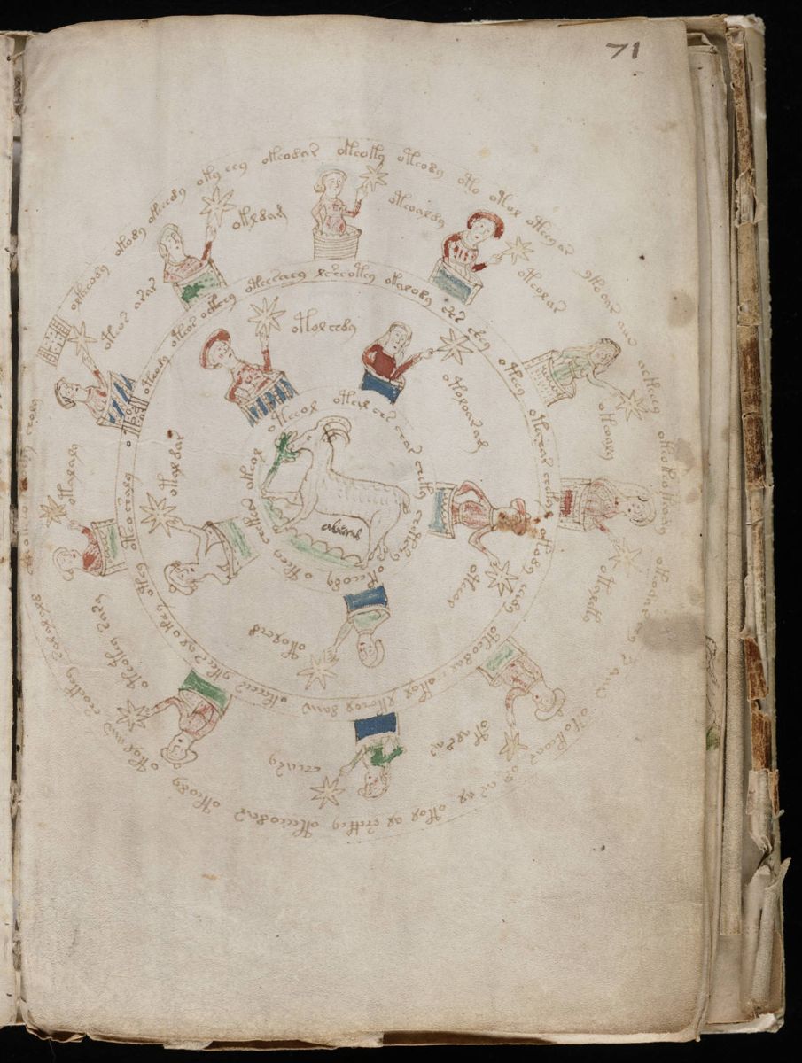 Voynich Manuscript (129).jpg Voynich Manuscript (129).jpg