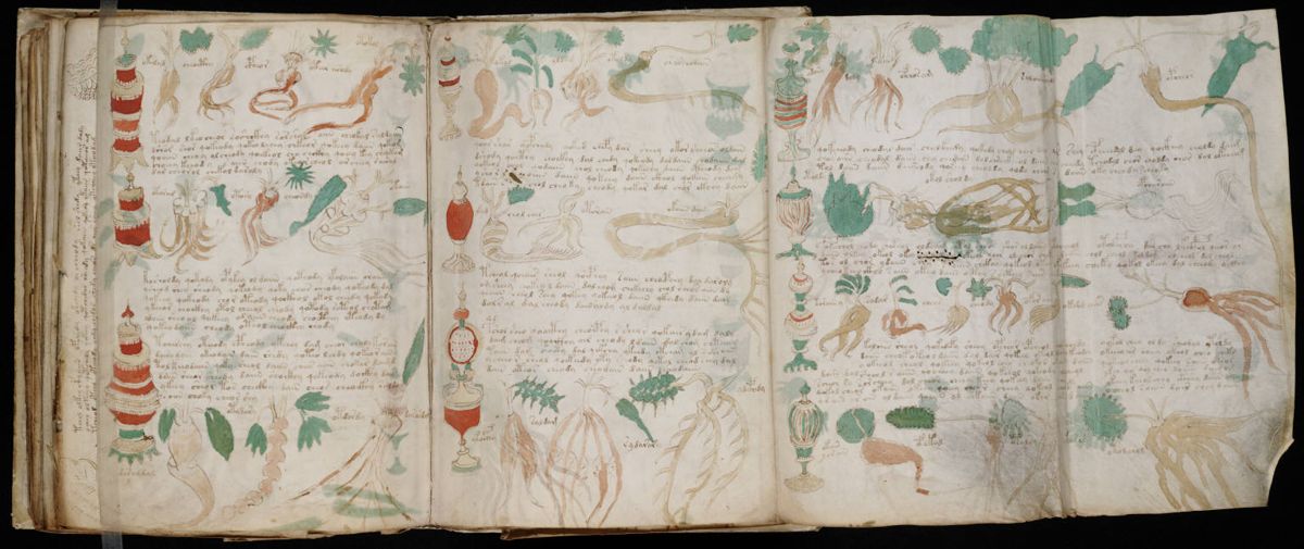 Voynich Manuscript (162).jpg Voynich Manuscript (162).jpg