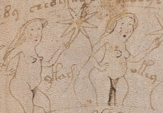 Voynich Manuscript (131) f72v3 detail ((retouching)).jpg Voynich Manuscript (131) f72v3 detail ((retouching)).jpg