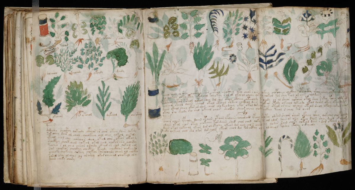 Voynich Manuscript (178).jpg Voynich Manuscript (178).jpg