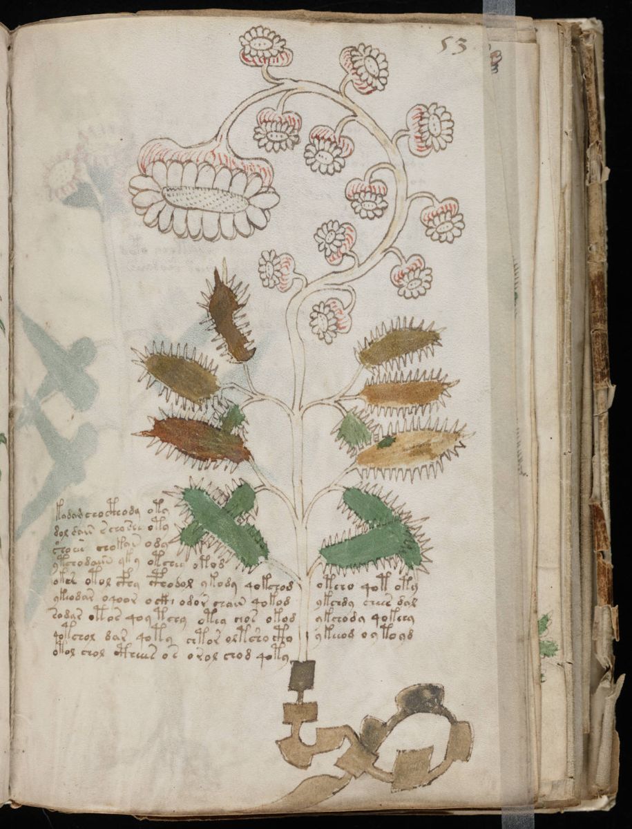Voynich Manuscript (105).jpg Voynich Manuscript (105).jpg
