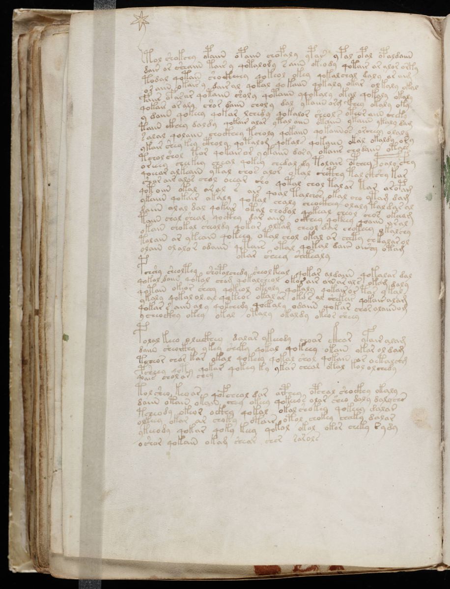 Voynich Manuscript (116).jpg Voynich Manuscript (116).jpg