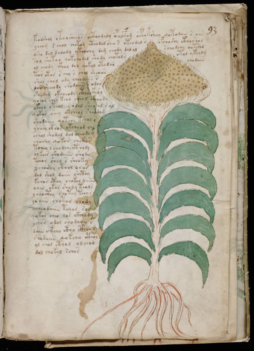 Voynich Manuscript (167).jpg Voynich Manuscript (167).jpg