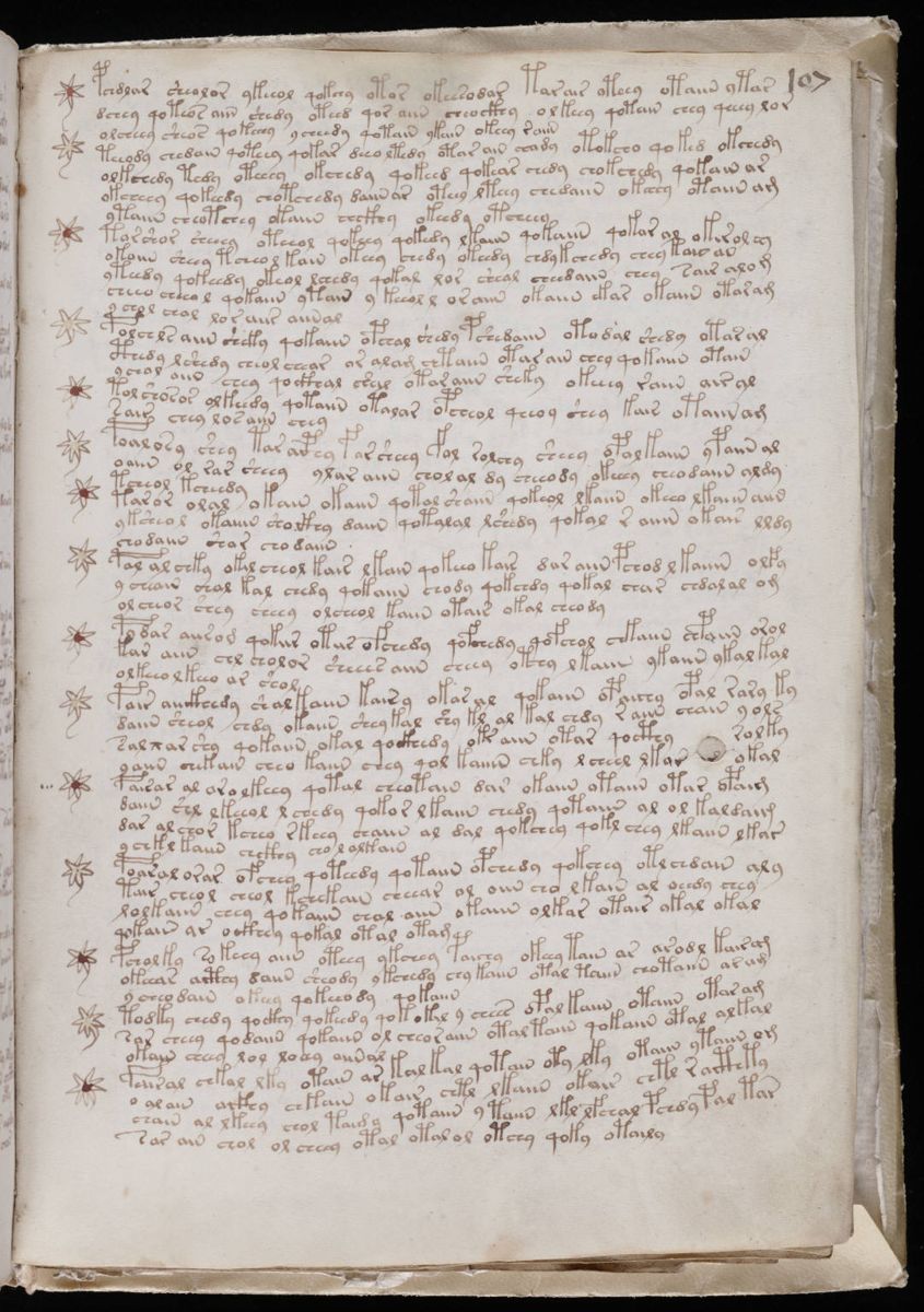 Voynich Manuscript (191).jpg Voynich Manuscript (191).jpg