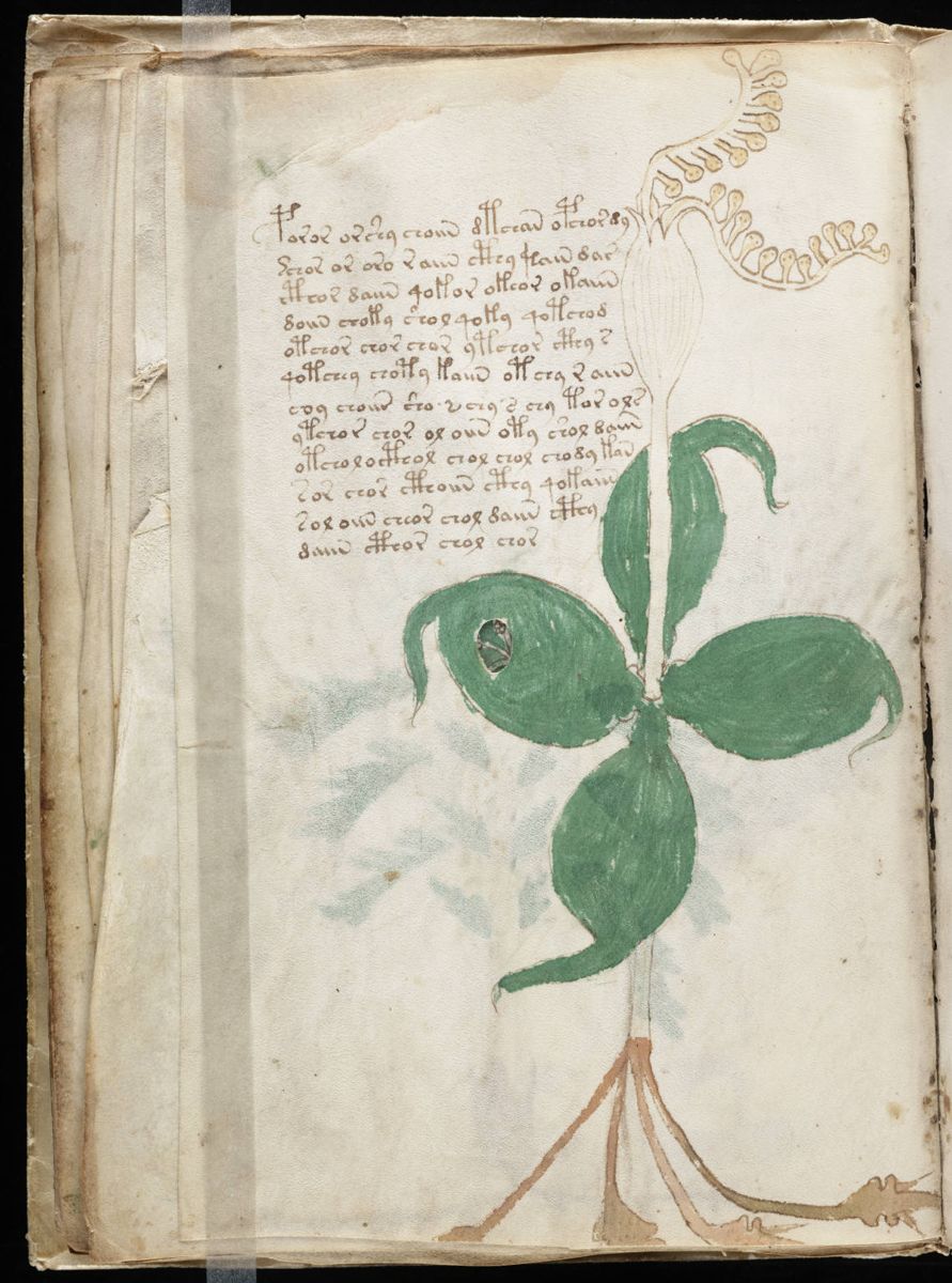 Voynich Manuscript (30).jpg Voynich Manuscript (30).jpg