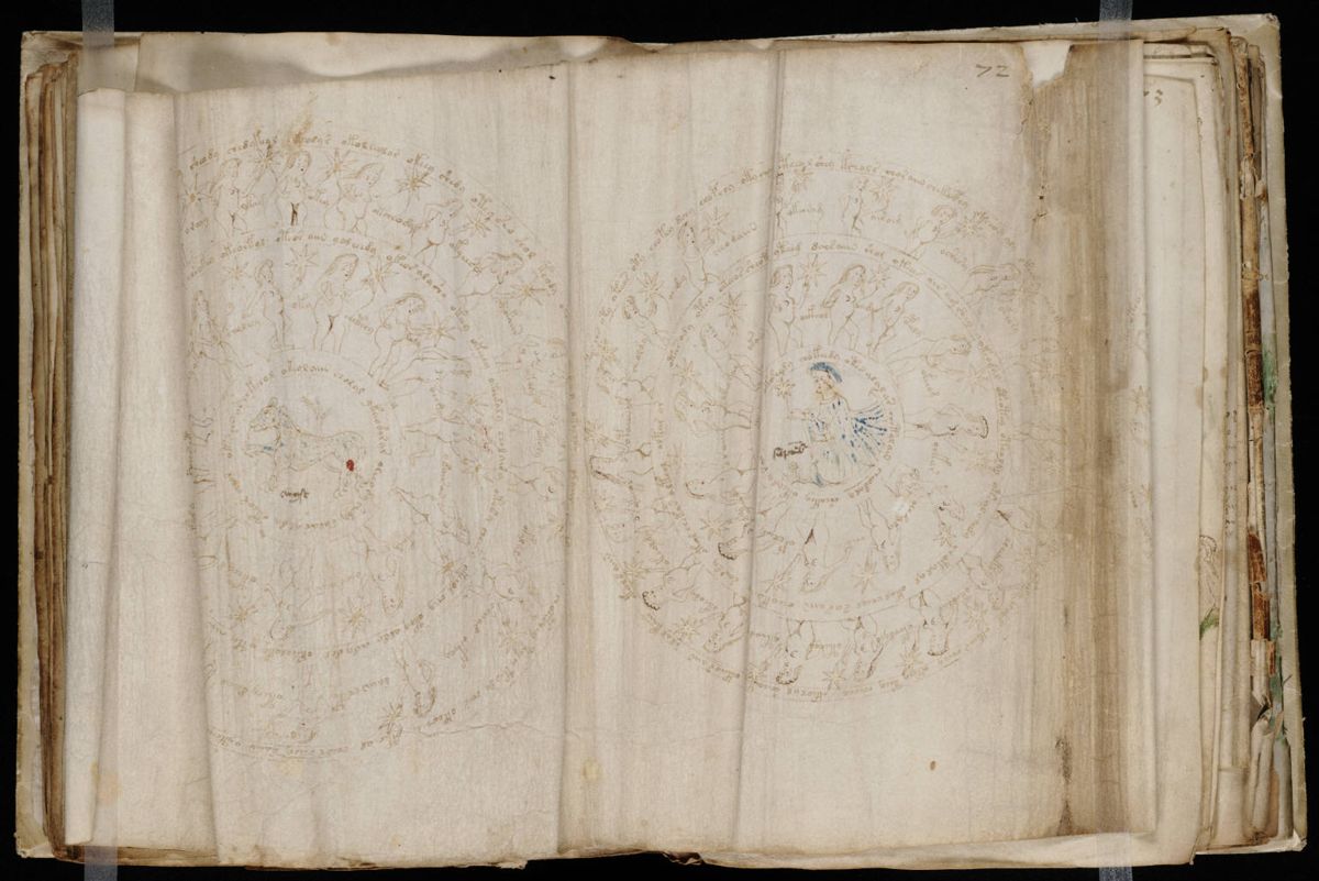 Voynich Manuscript (131).jpg Voynich Manuscript (131).jpg
