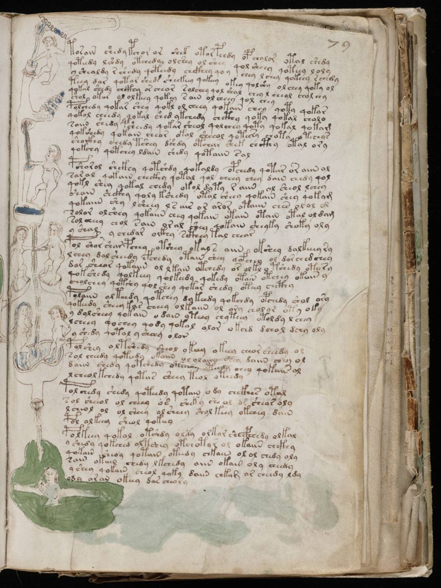 Voynich Manuscript (143).jpg Voynich Manuscript (143).jpg