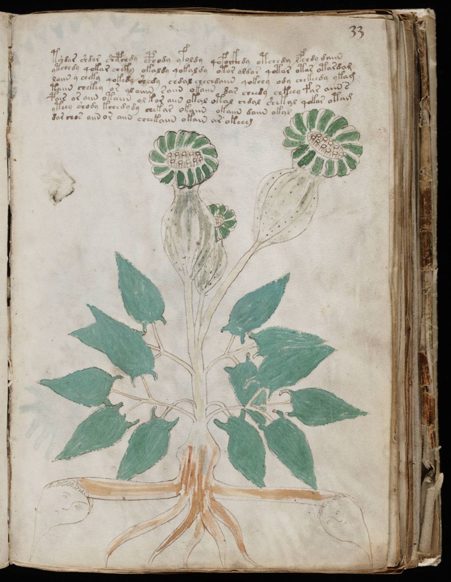 Voynich Manuscript (65).jpg Voynich Manuscript (65).jpg