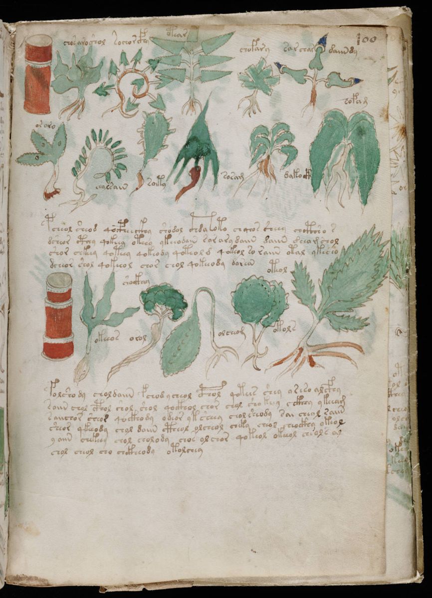 Voynich Manuscript (177).jpg Voynich Manuscript (177).jpg