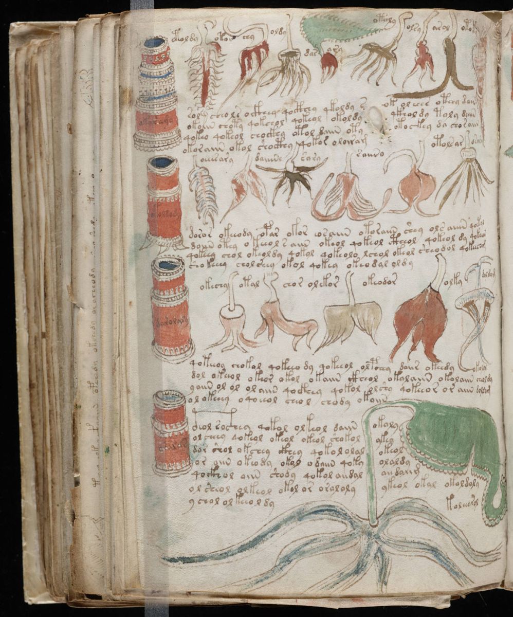 Voynich Manuscript (176).jpg Voynich Manuscript (176).jpg