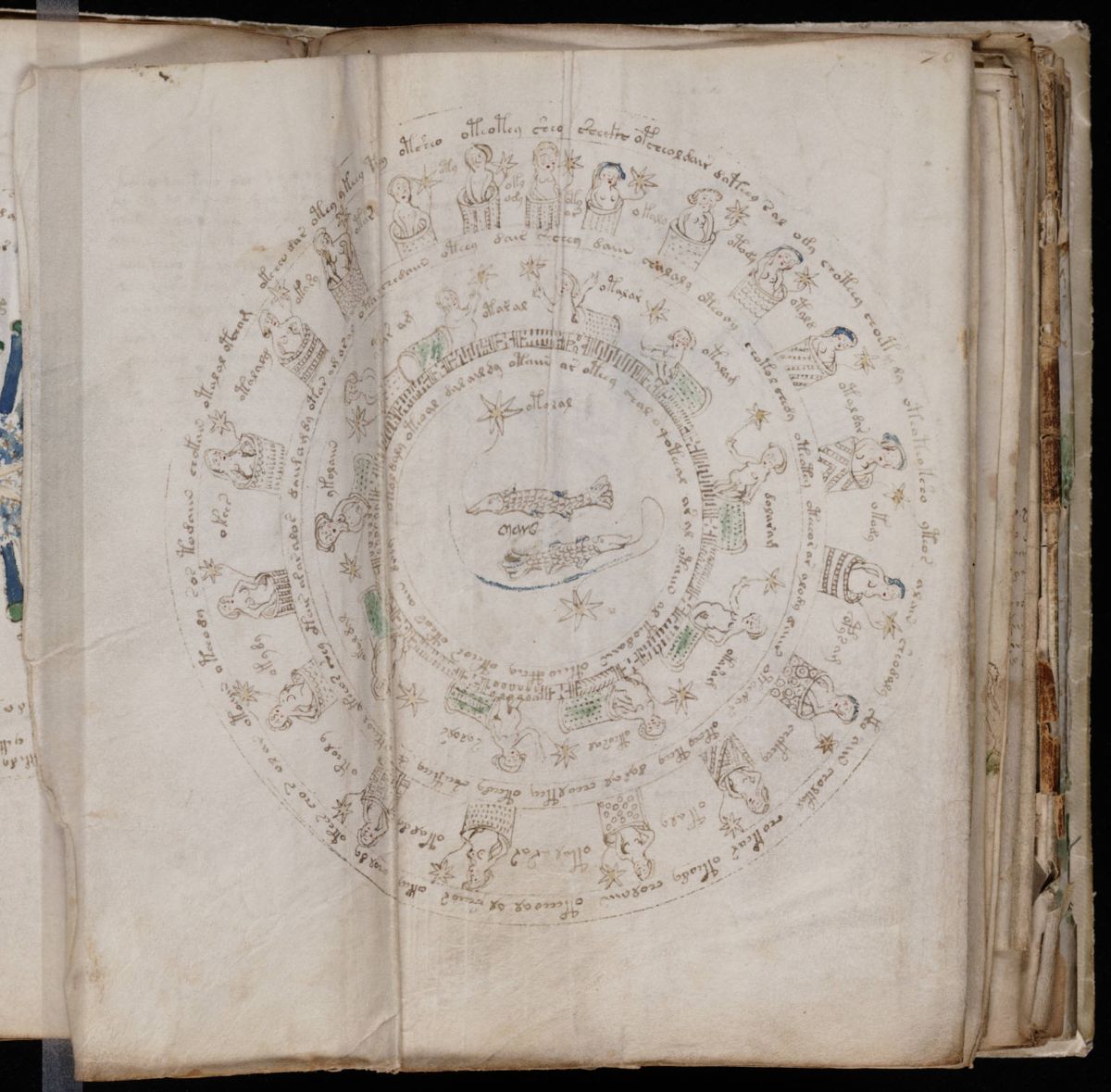 Voynich Manuscript (127).jpg Voynich Manuscript (127).jpg