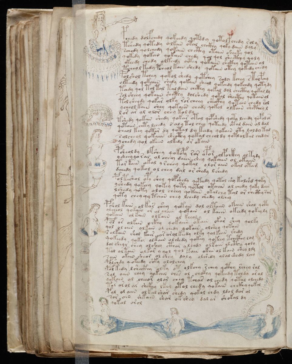 Voynich Manuscript (146).jpg Voynich Manuscript (146).jpg