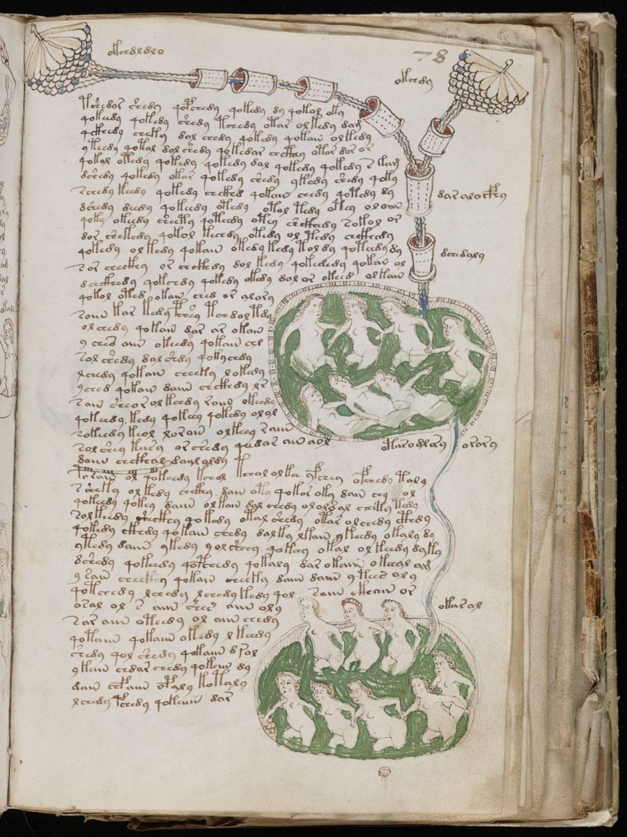 Voynich Manuscript (141).jpg Voynich Manuscript (141).jpg