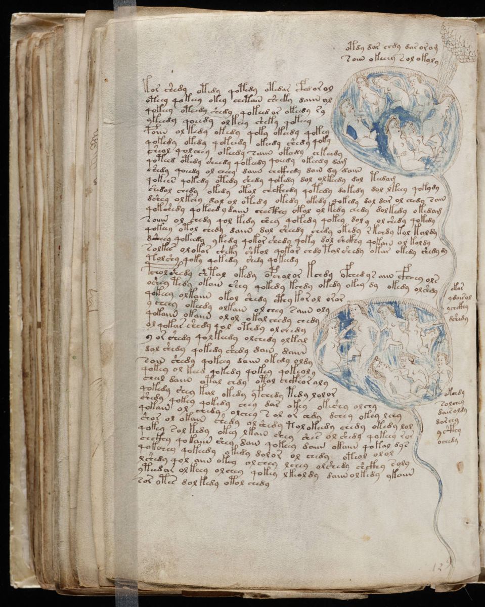 Voynich Manuscript (154).jpg Voynich Manuscript (154).jpg
