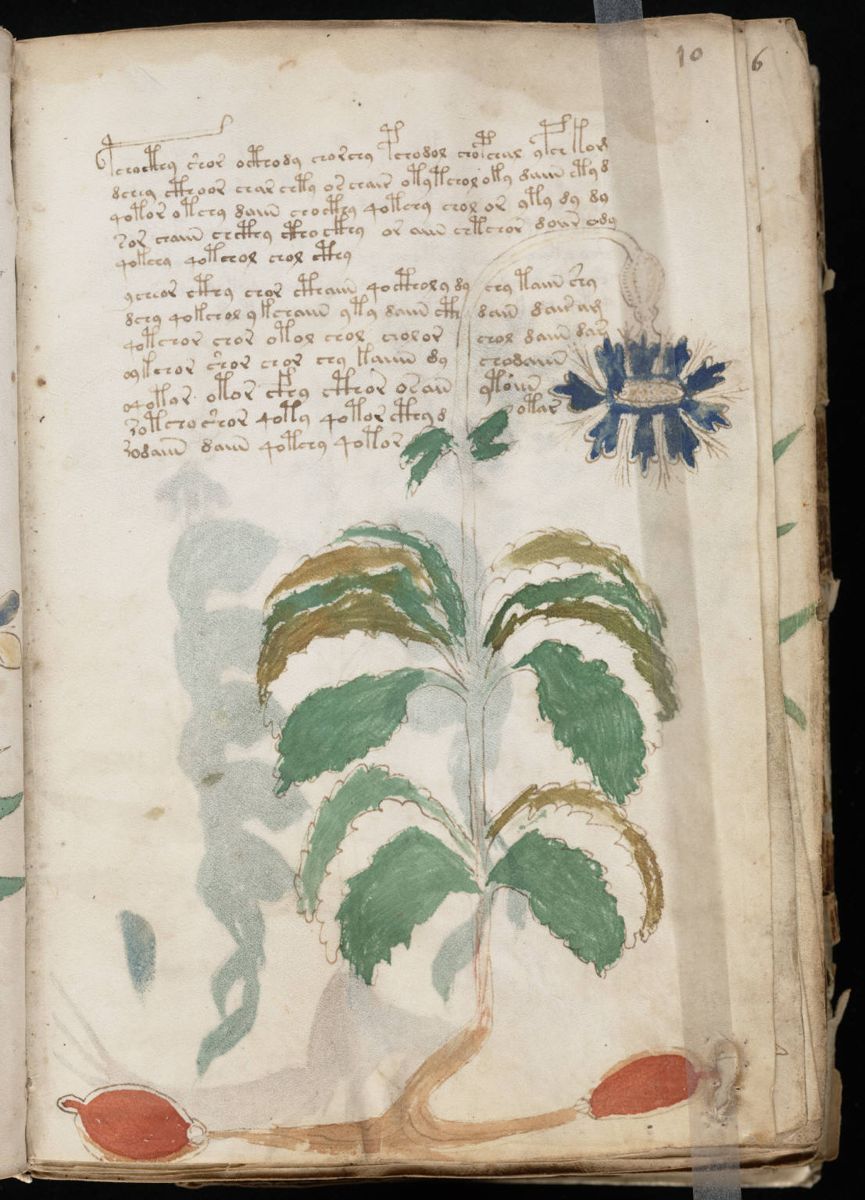 Voynich Manuscript (21).jpg Voynich Manuscript (21).jpg