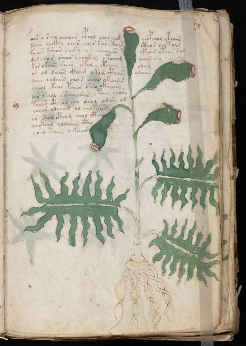 Voynich Manuscript (13).jpg Voynich Manuscript (13).jpg