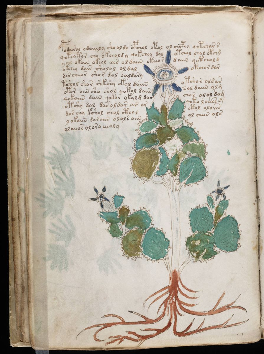 Voynich Manuscript (46).jpg Voynich Manuscript (46).jpg