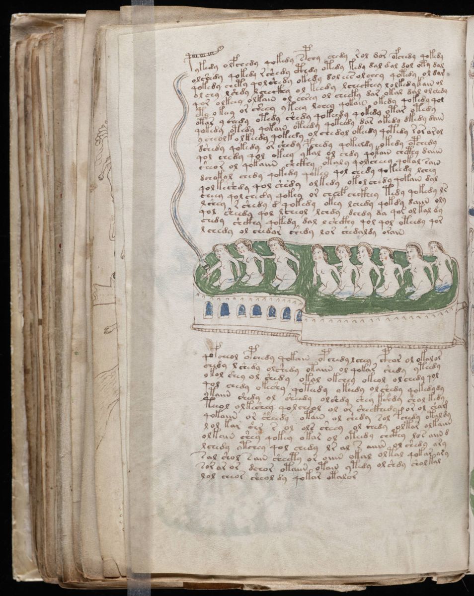 Voynich Manuscript (142).jpg Voynich Manuscript (142).jpg