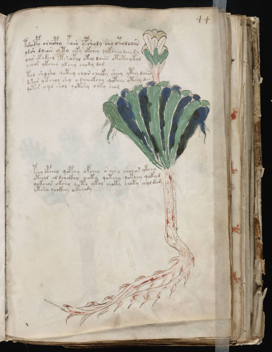 Voynich Manuscript (87).jpg Voynich Manuscript (87).jpg