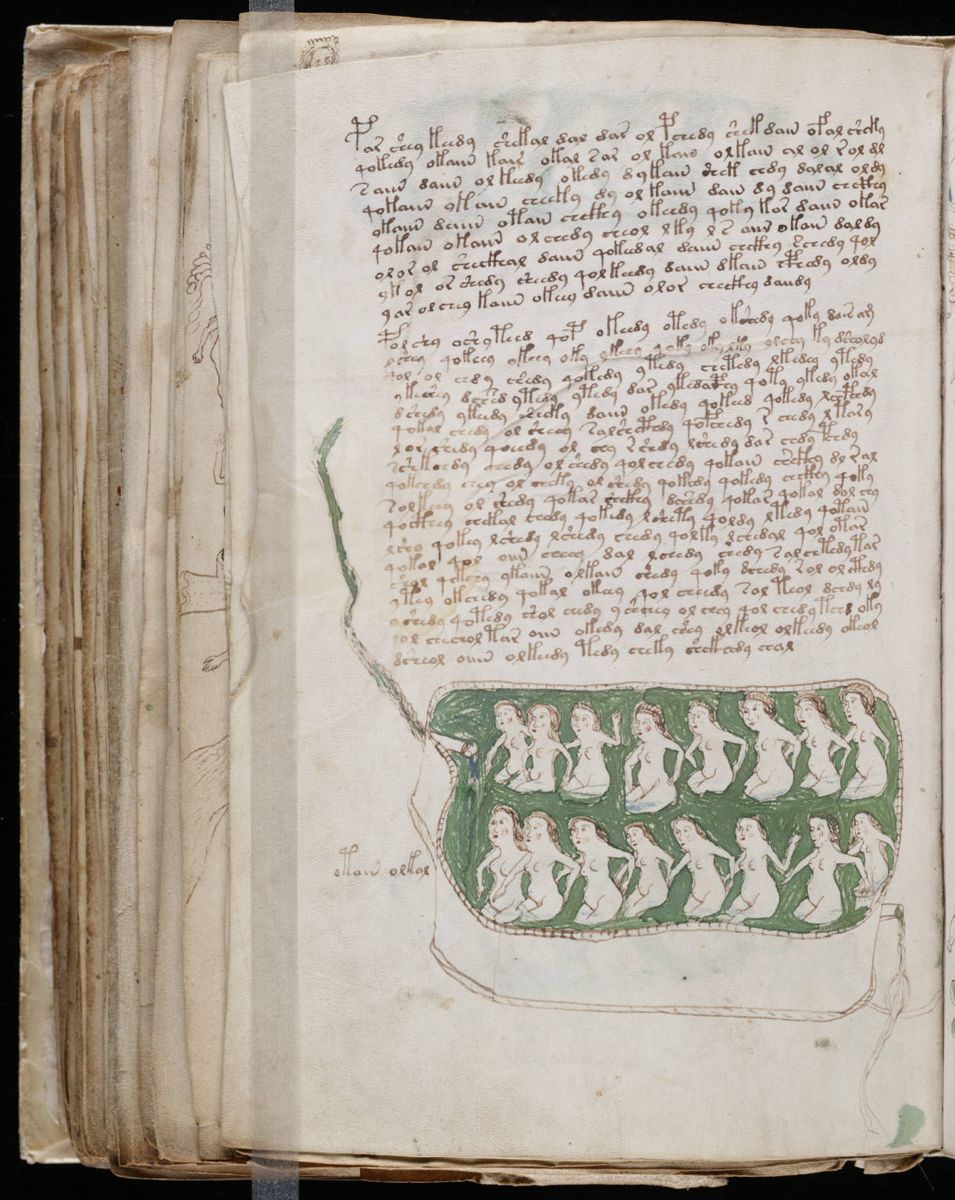 Voynich Manuscript (148).jpg Voynich Manuscript (148).jpg