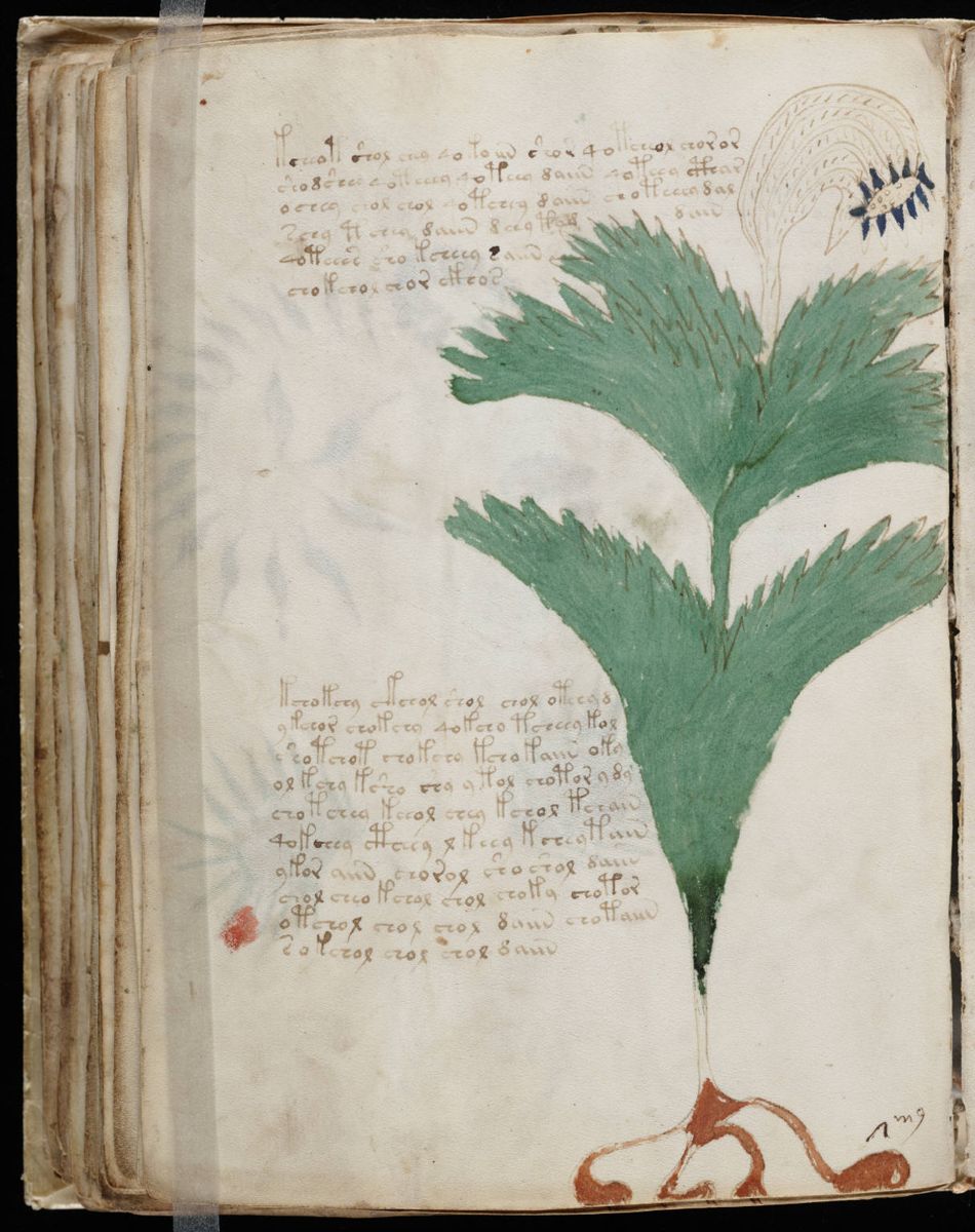 Voynich Manuscript (112).jpg Voynich Manuscript (112).jpg