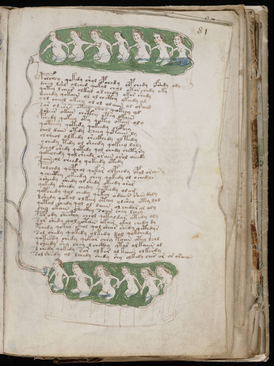 Voynich Manuscript (147).jpg Voynich Manuscript (147).jpg