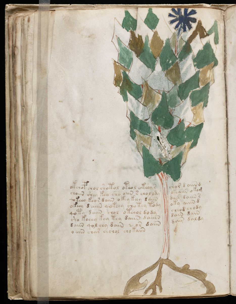 Voynich Manuscript (76).jpg Voynich Manuscript (76).jpg