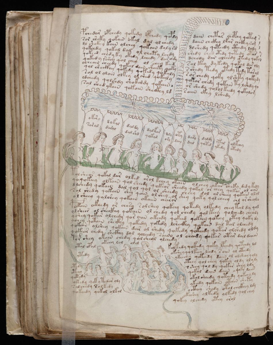 Voynich Manuscript (136).jpg Voynich Manuscript (136).jpg