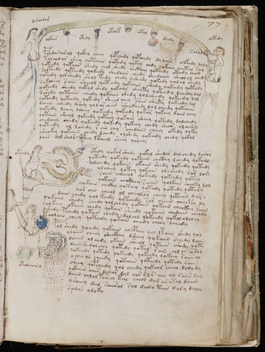Voynich Manuscript (139).jpg Voynich Manuscript (139).jpg