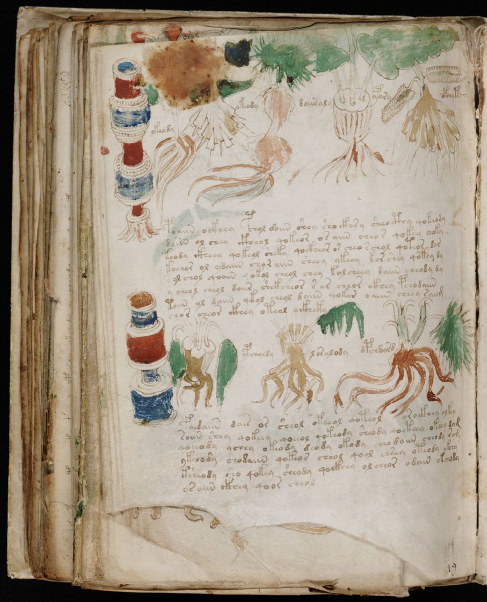 Voynich Manuscript (182).jpg Voynich Manuscript (182).jpg