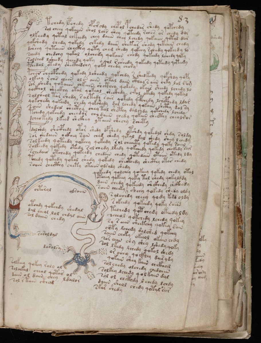Voynich Manuscript (151).jpg Voynich Manuscript (151).jpg