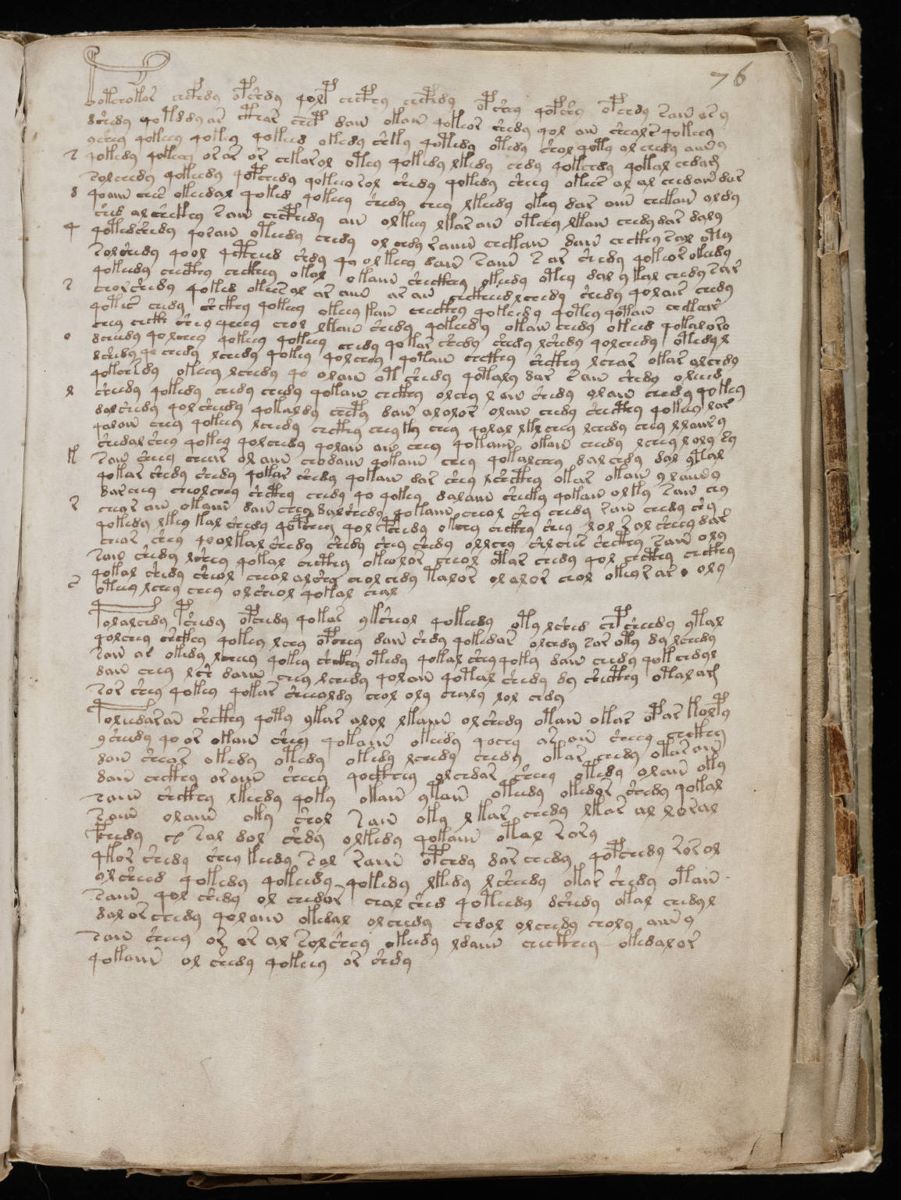 Voynich Manuscript (137).jpg Voynich Manuscript (137).jpg
