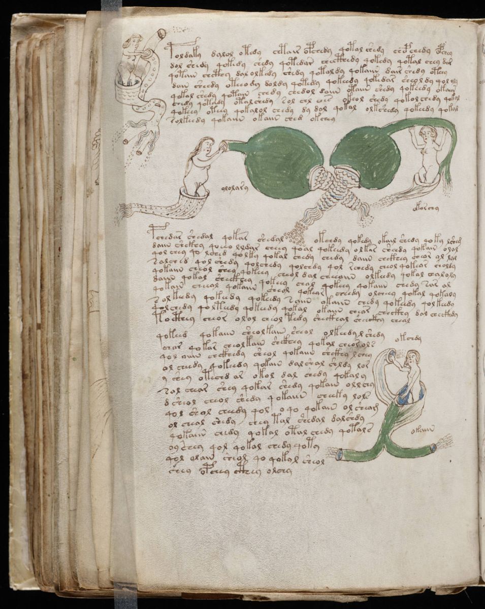Voynich Manuscript (152).jpg Voynich Manuscript (152).jpg