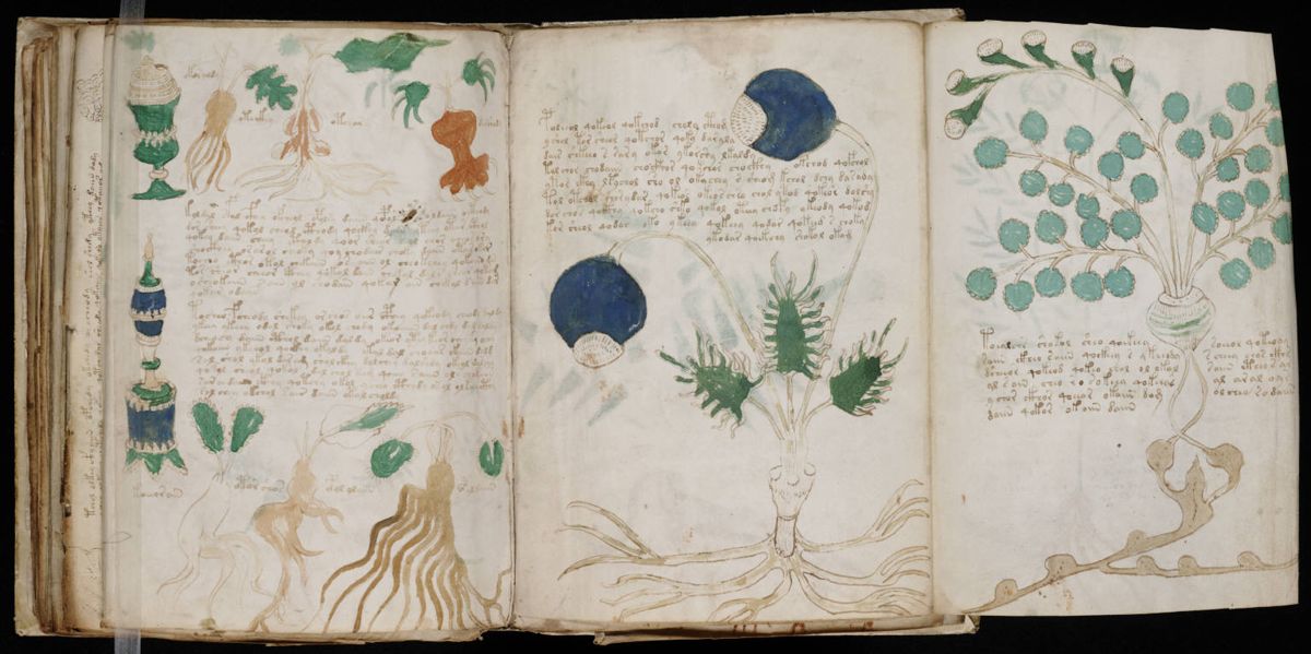Voynich Manuscript (164).jpg Voynich Manuscript (164).jpg
